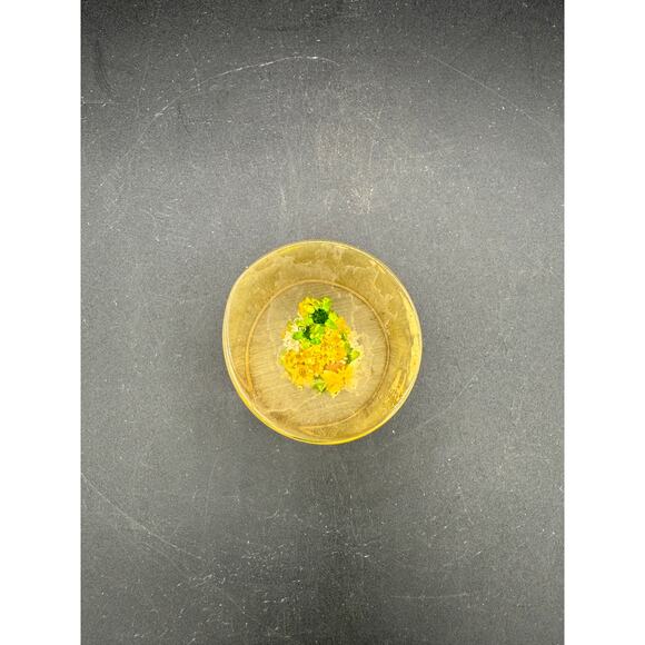 Retro Daisyglas Lucite Paperweight- Dried Flowers and small butterfly - Picture 5 of 8